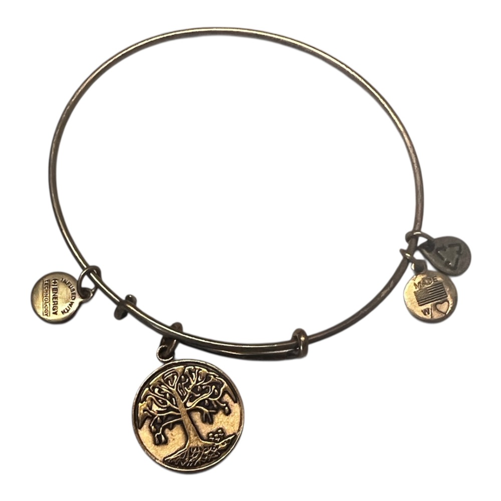 Alex and Ani Tree of Life Charm Bangle